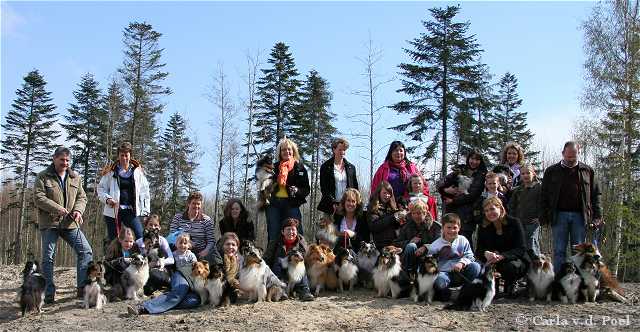 Wandeling met de honden