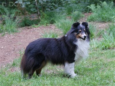 Bonita — 10 jaar