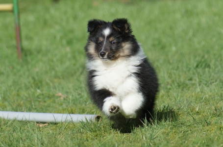 Dorris — 10 weken