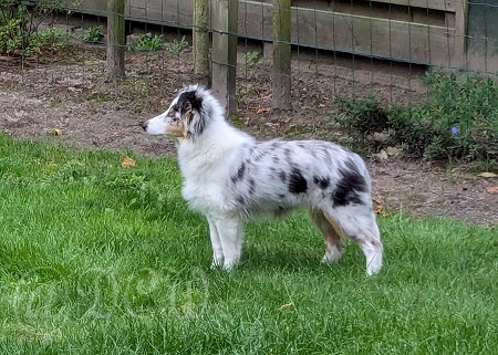 Mayla — 4,5 maand