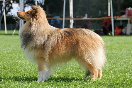 Melvin — 20 maanden