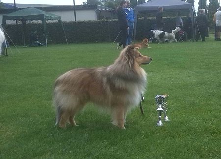 Melvin — 18 maanden — BOB/BIG3 KC Almelo