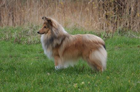 Melvin — 11 maanden