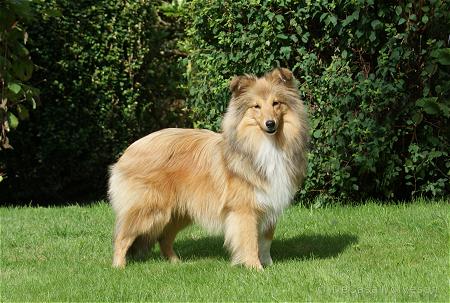 Melvin — 8 maanden