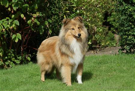 Melvin — 8 maanden