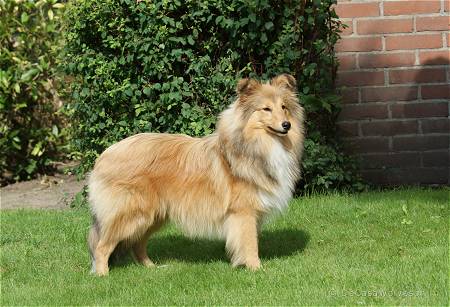 Melvin — 8 maanden