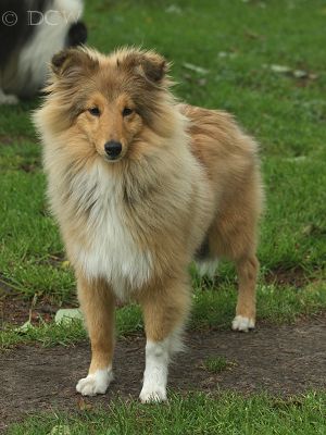 Melvin — 6 maanden