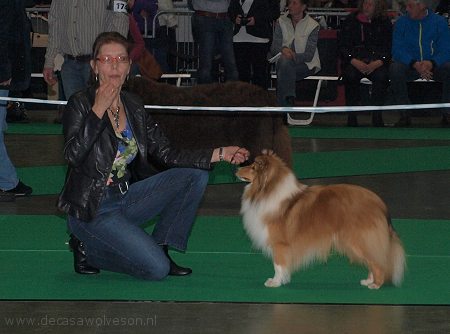 Veron — Show Leeuwarden 2012