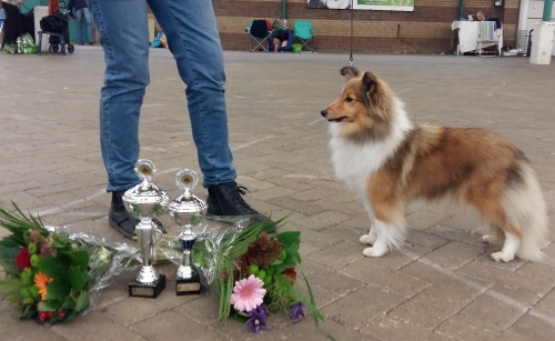 Zinzi — Clubmatch Sneek 2016: BOB, BIG1, BIS4