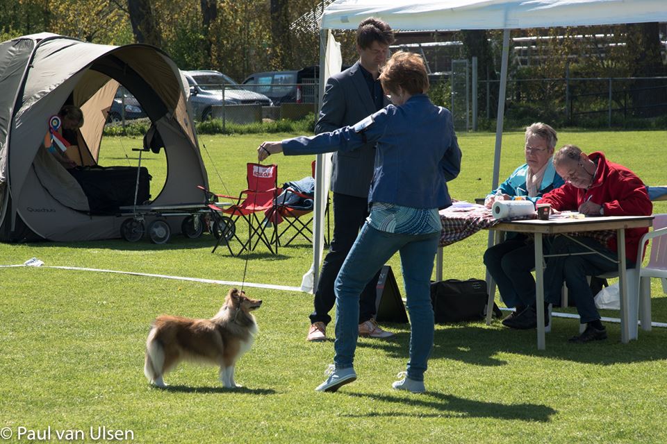 Zinzi — Joe Kat Show 2016: Res CAC